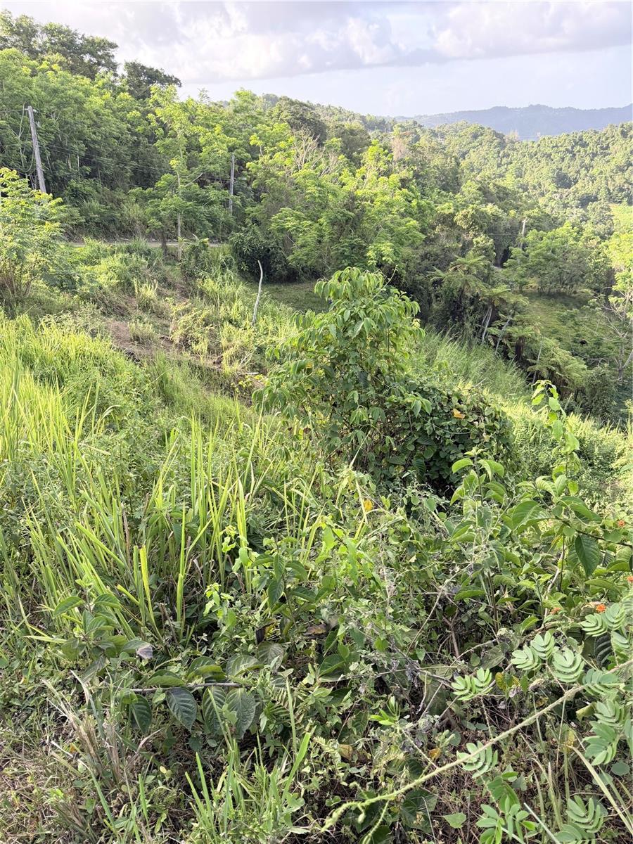 Pr 785 Km 2.0 #4 Property Photo 1