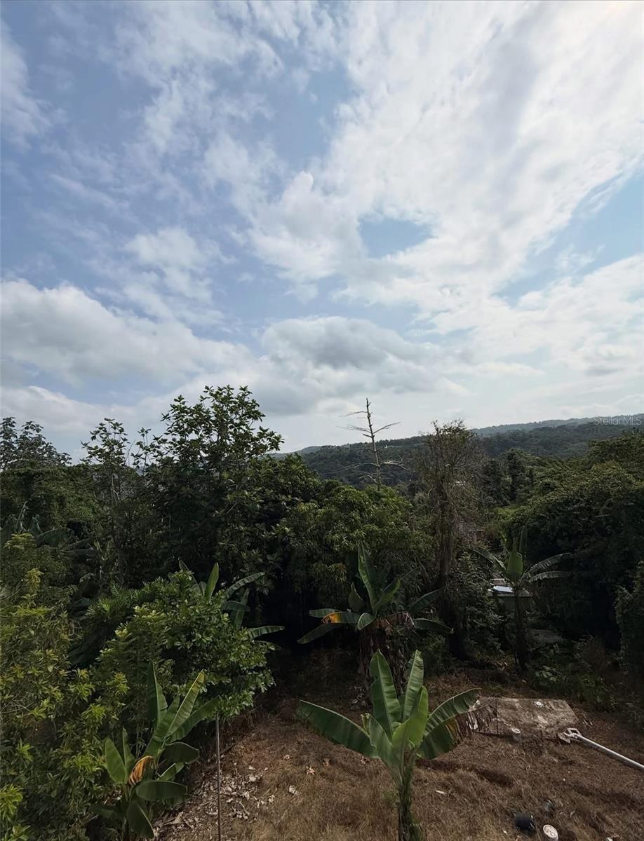 Carr 435 Km.hm 2.9 Bo Calabazas Property Photo 9