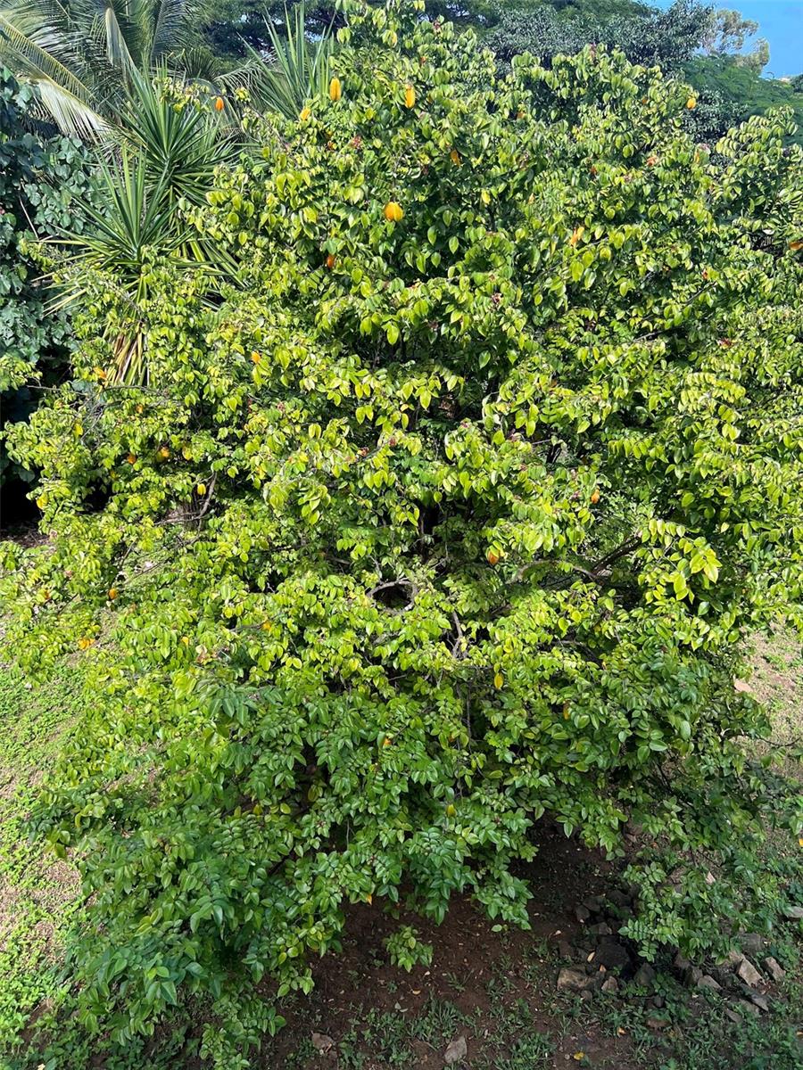 311 Villa Borinquen Property Photo 25