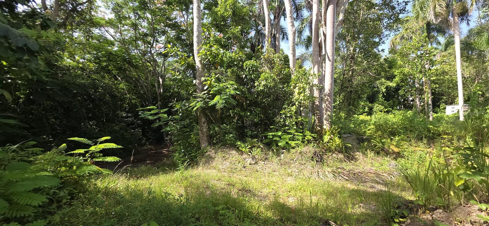 455 Carr Km 11.5, Int Bo Km 11.5 Property Photo 13