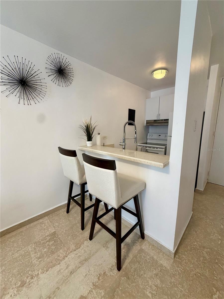 6471 Ave. Isla Verde #811 Property Photo 12