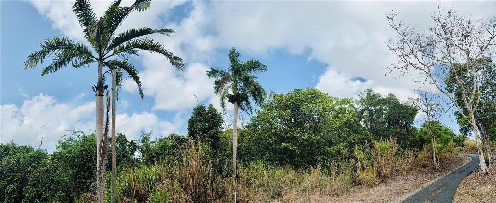 857 Route #km 6.8 Property Photo 1
