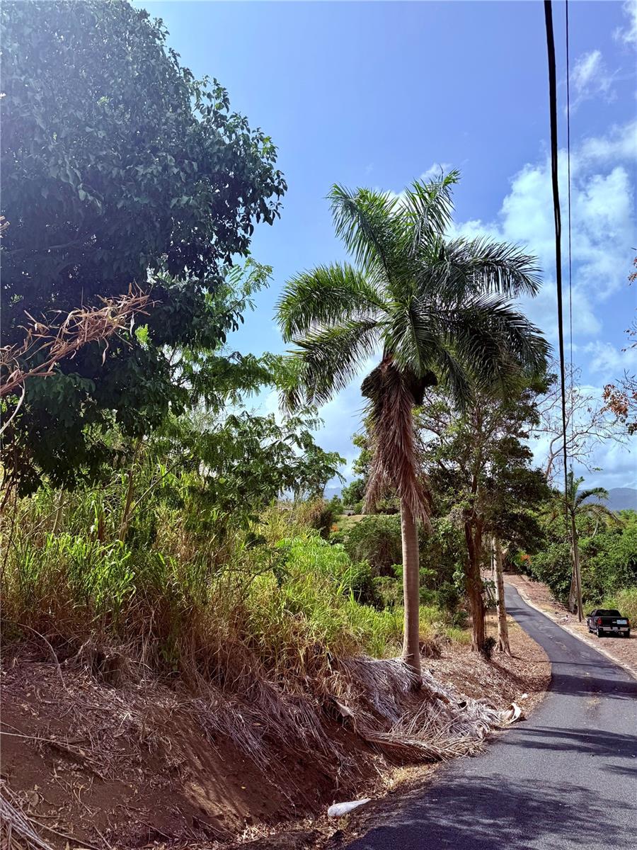 857 Route #km 6.8 Property Photo 2