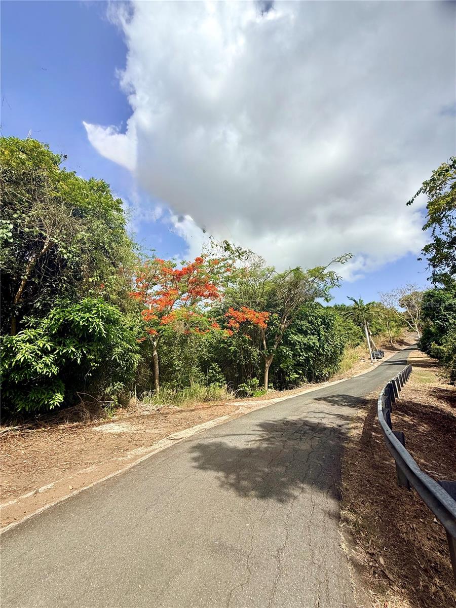 857 Route #km 6.8 Property Photo 4