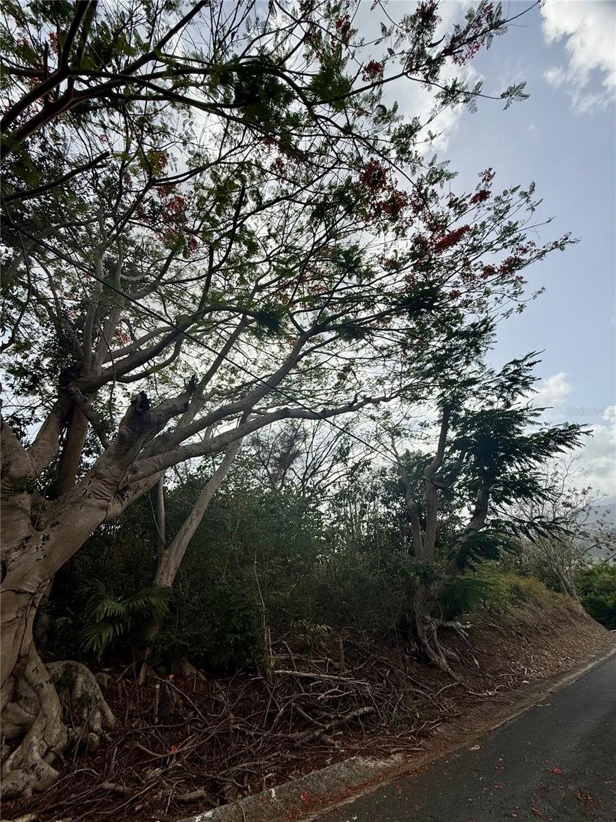 857 Route #km 6.8 Property Photo 10