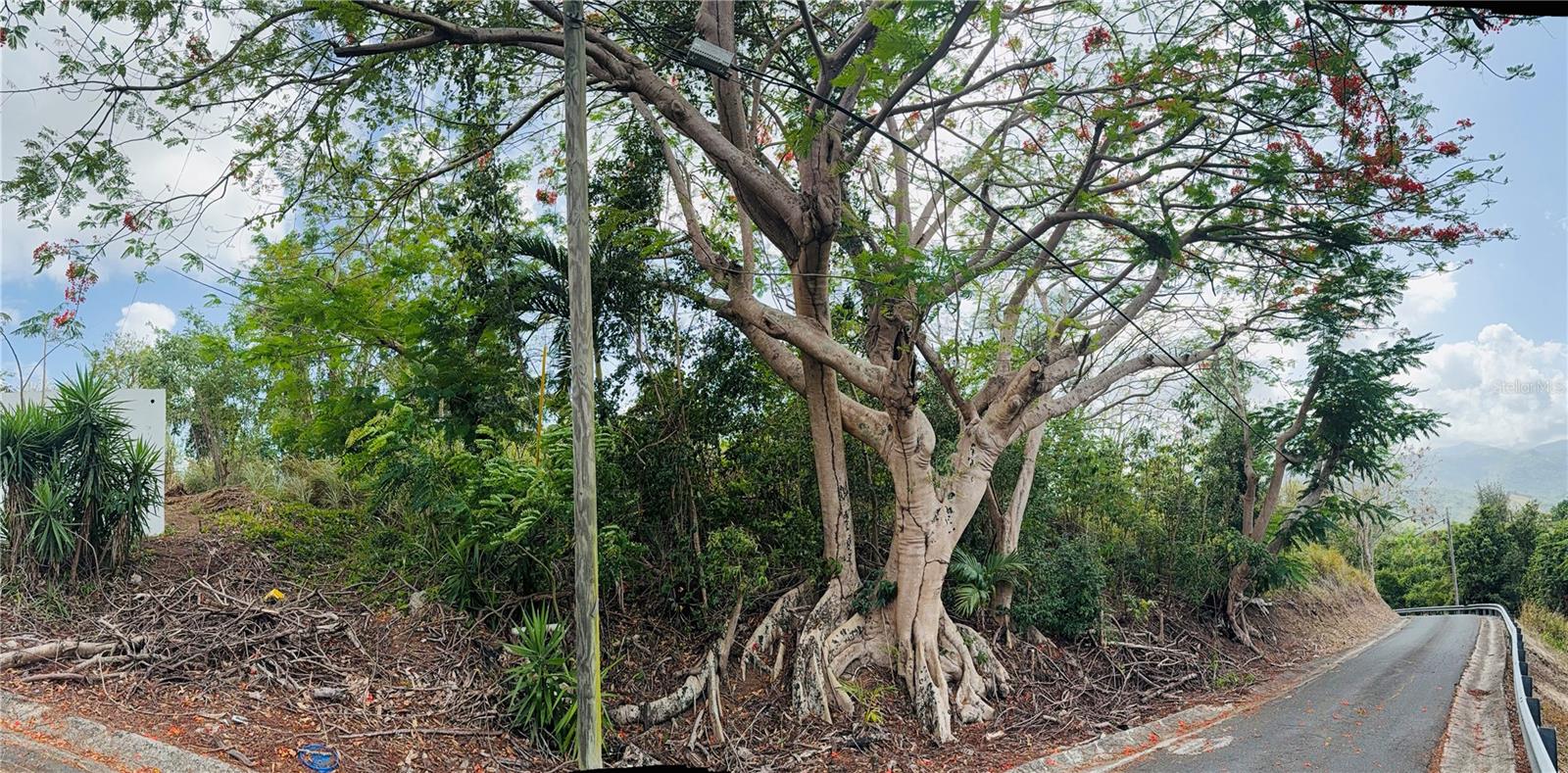 857 Route #km 6.8 Property Photo 14