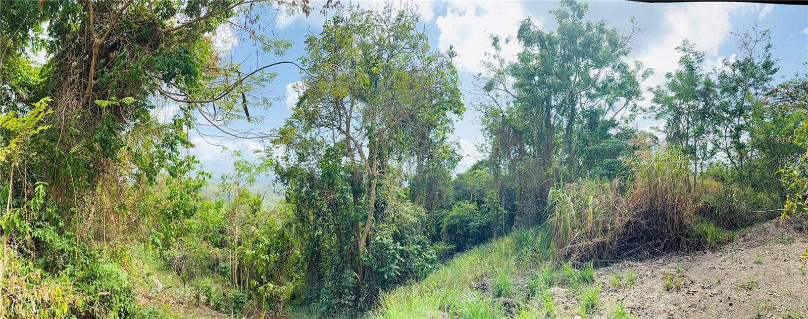 857 Route #km 6.8 Property Photo 15