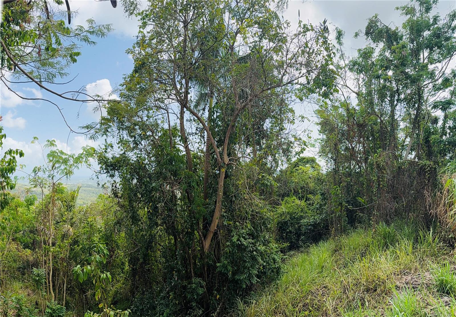 857 Route #km 6.8 Property Photo 16