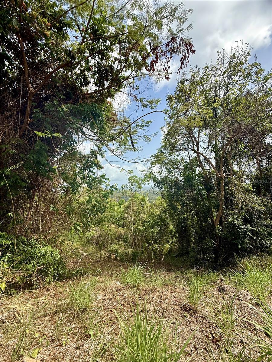 857 Route #km 6.8 Property Photo 18