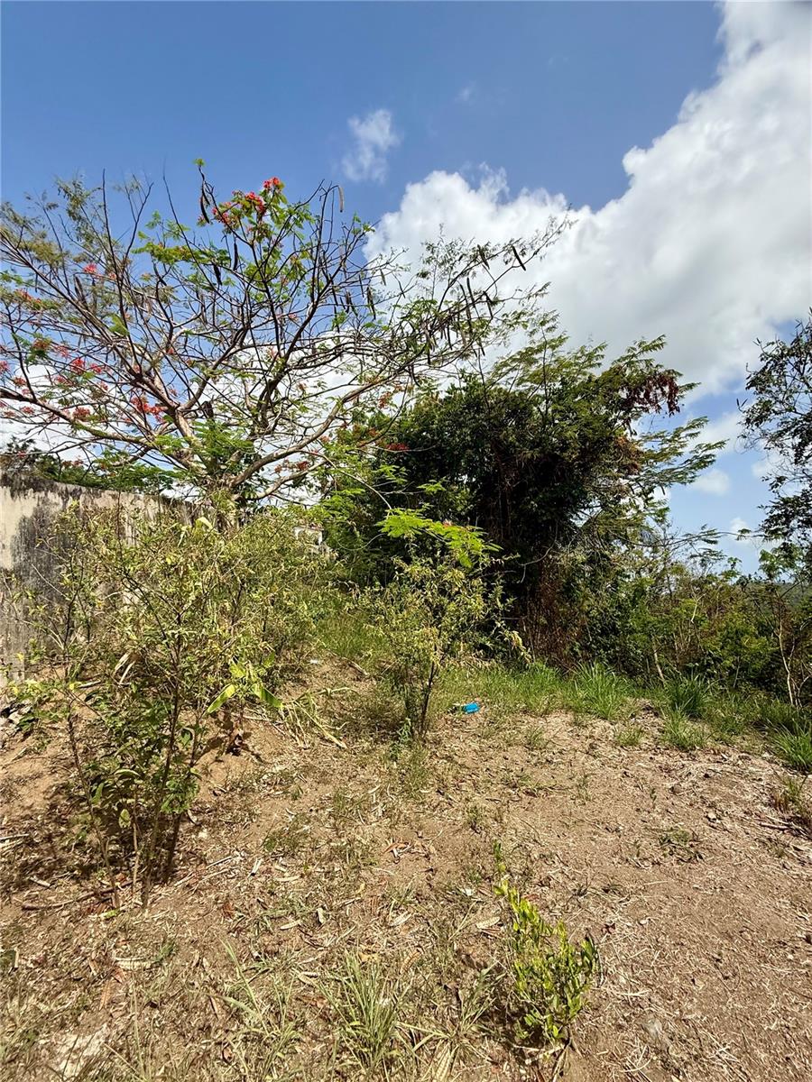 857 Route #km 6.8 Property Photo 19