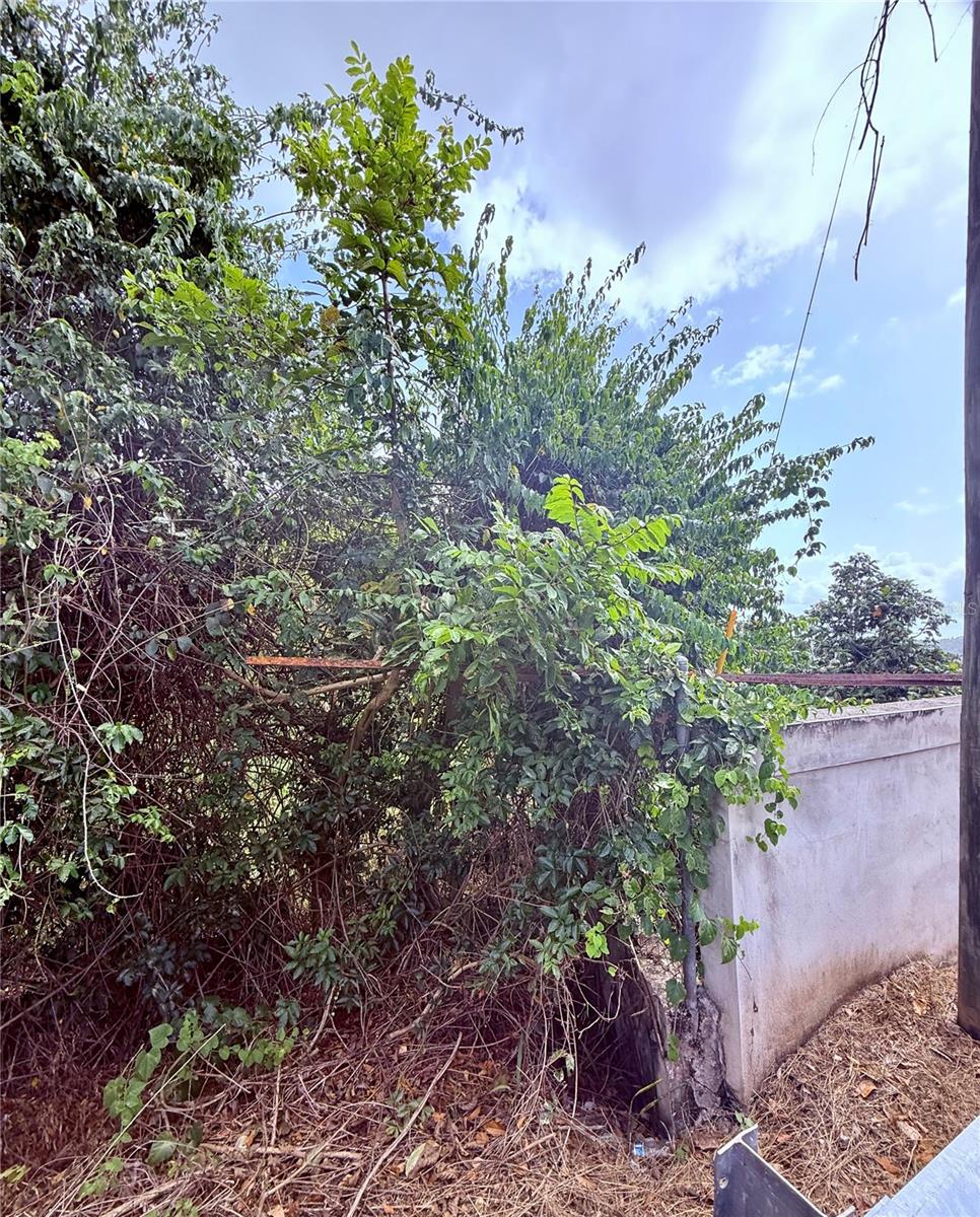 857 Route #km 6.8 Property Photo 25