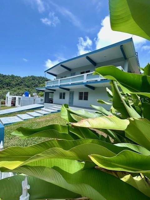 Bo Quebrada Fajardo CARR#985 KM 1.3 #Lote#5 Property Photo 1