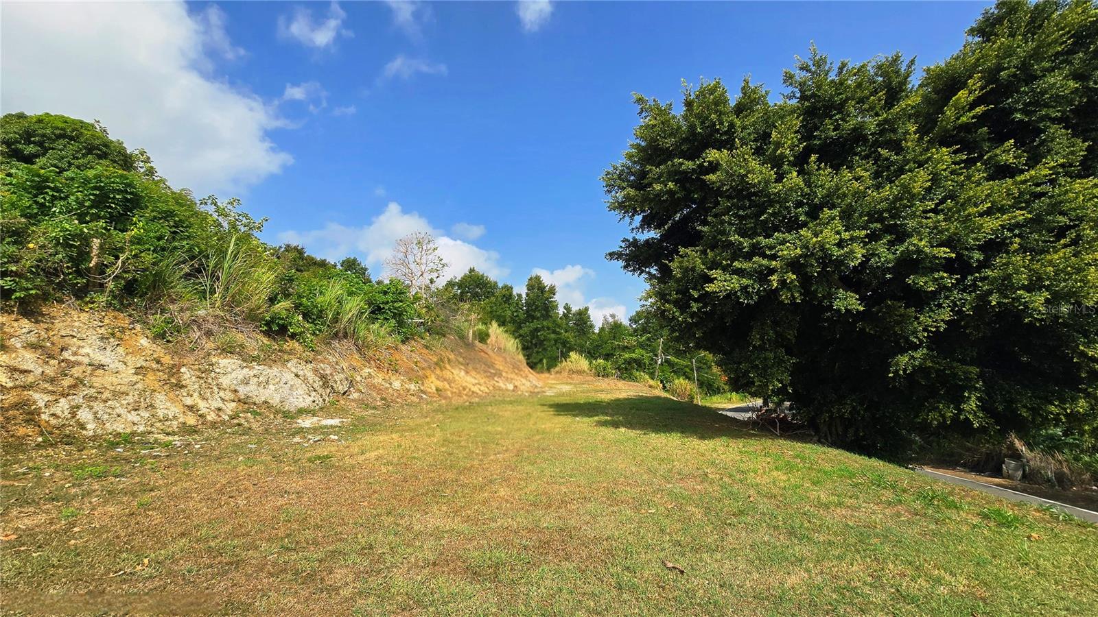 820 St. Sector Marzan Río Lajas #1.2 Property Photo 1