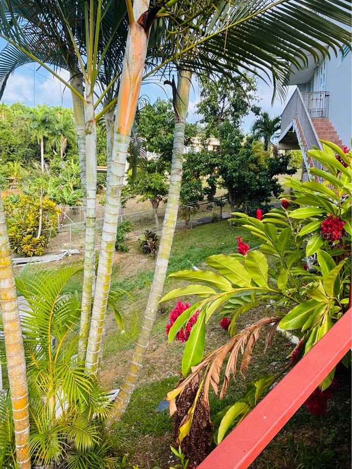 PR9123183 Property Photo 4