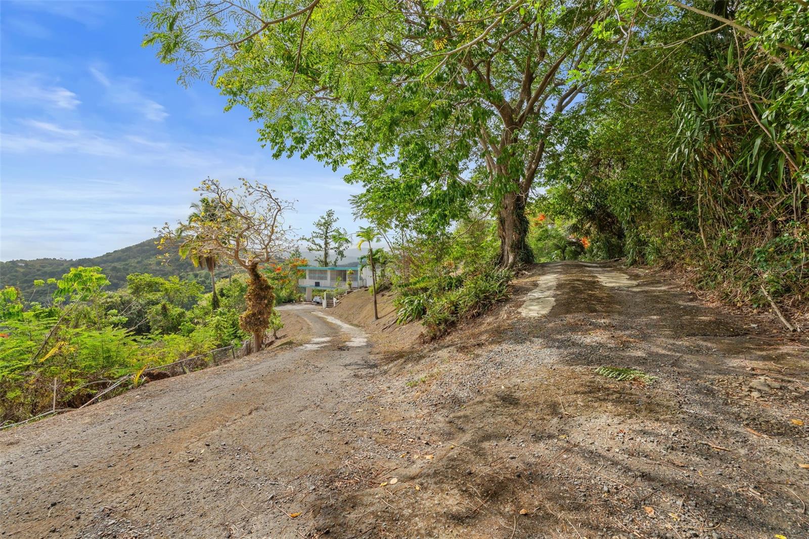 Carr 853 Km. Hm 6.2 Hidalgo St. Property Photo 23