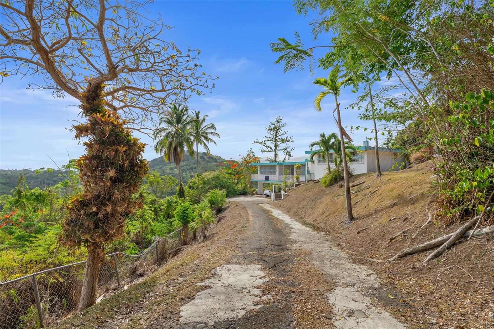 Carr 853 Km. Hm 6.2 Hidalgo St. Property Photo 24