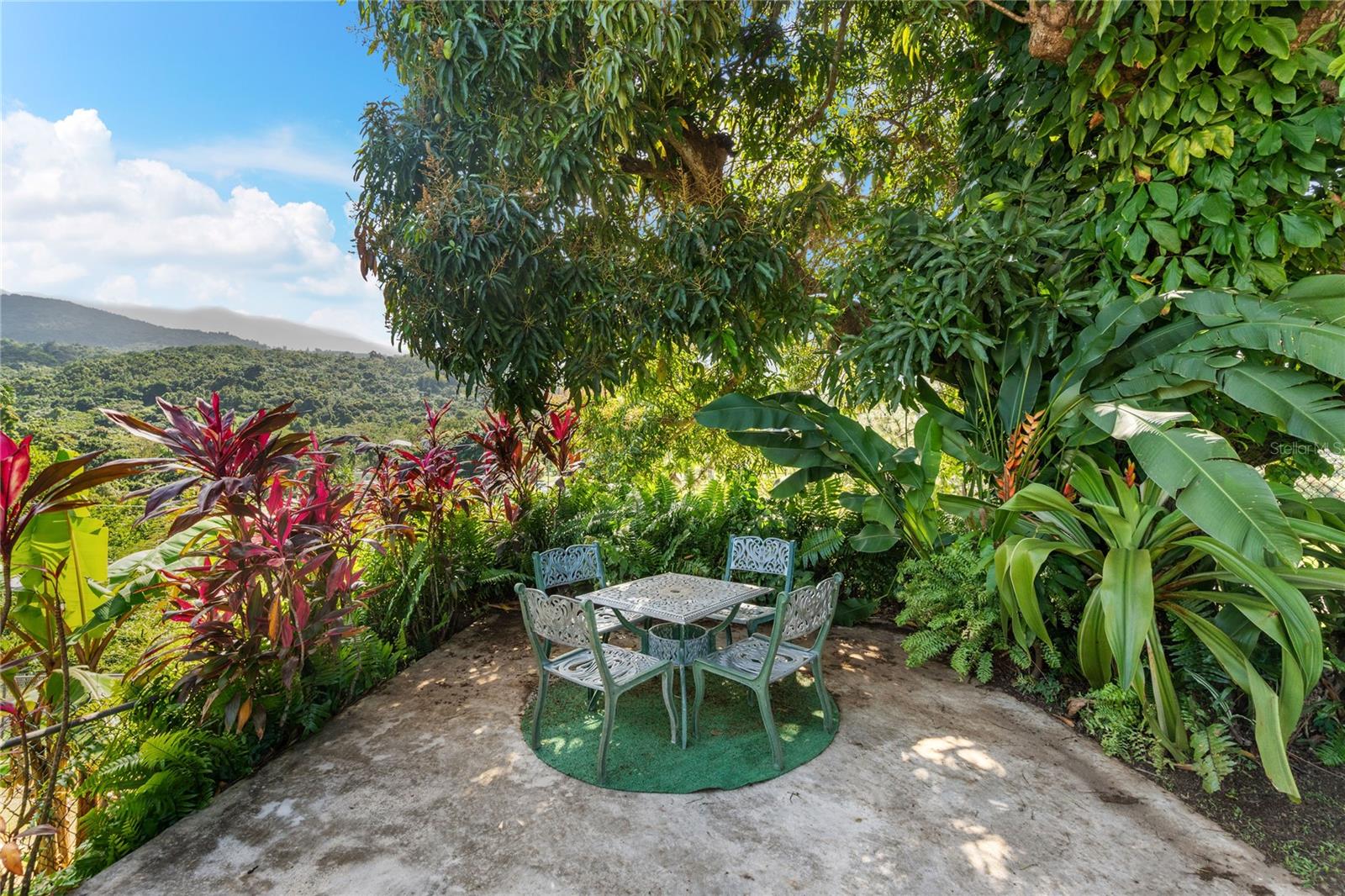 59 Reina Isabel Property Photo 36