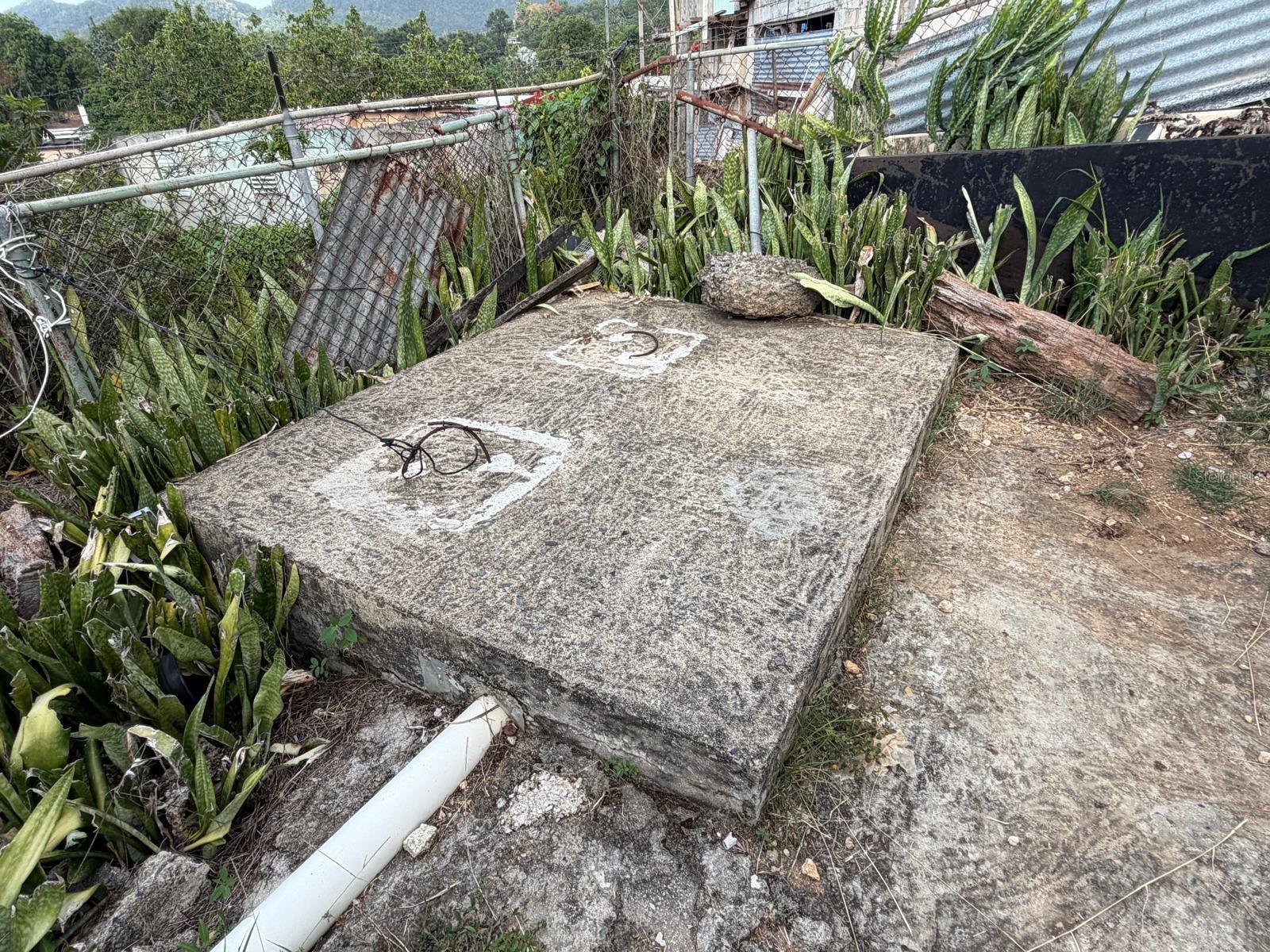 Carr. 10 Bo. Hato Viejo Property Photo 10