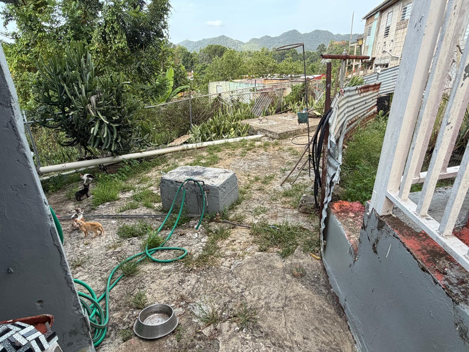Carr. 10 Bo. Hato Viejo Property Photo 12