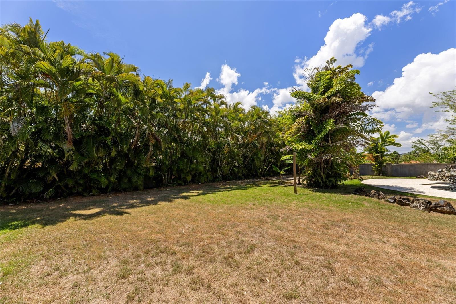 PR9123340 Property Photo 43