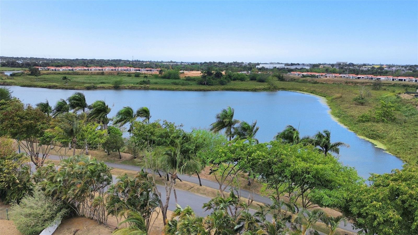 134 Camino De La Cana Property Photo 39