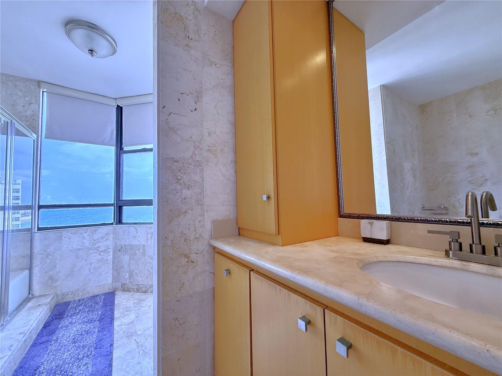 801 C. Washington #1203 Property Photo 32
