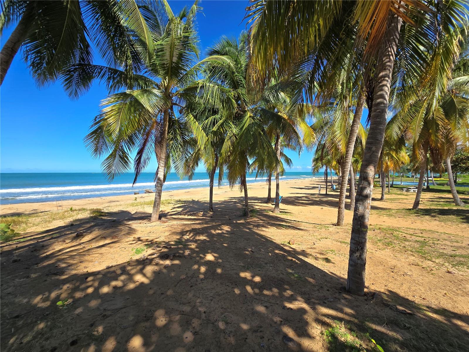 351 Las Picaus, Playas Del Yunque #19 Property Photo 2