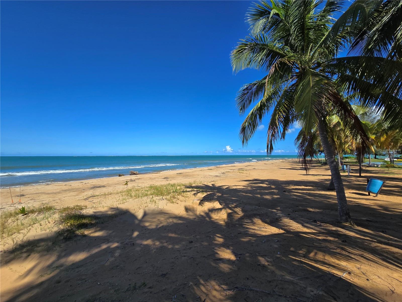 351 Las Picaus, Playas Del Yunque #19 Property Photo 6