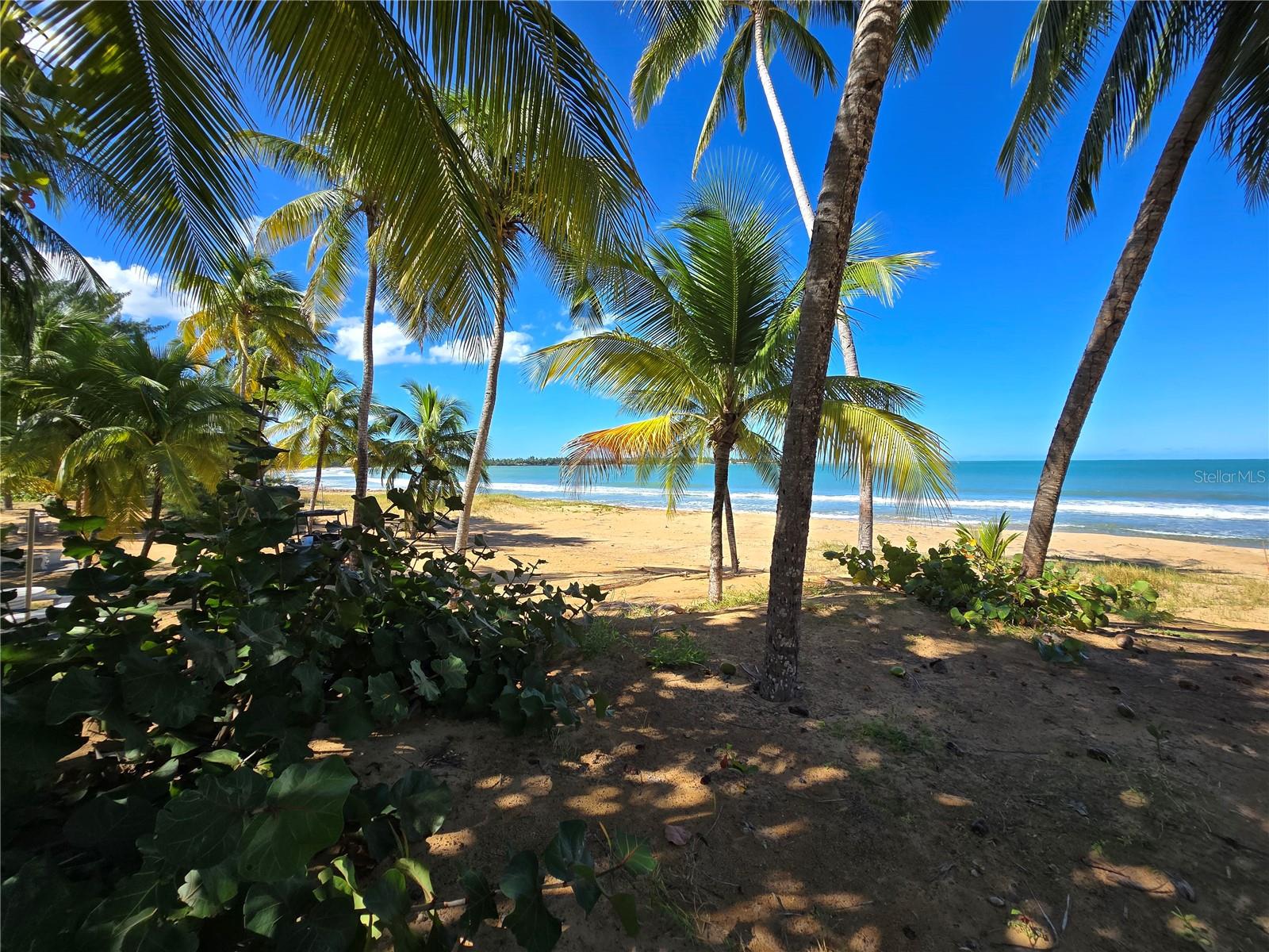 351 Las Picaus, Playas Del Yunque #19 Property Photo 13