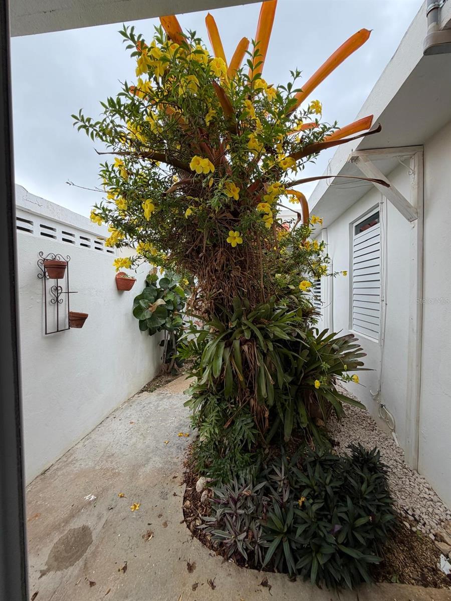 163 Calle 7 Property Photo 36