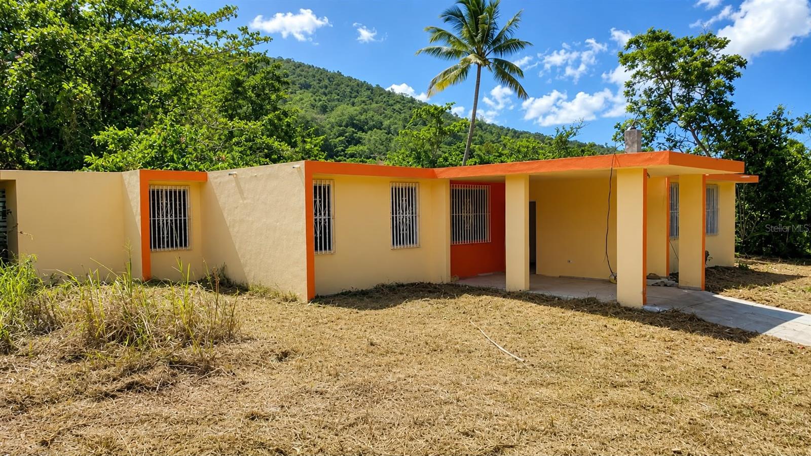 Bo. Daguao Lote B Property Photo 13