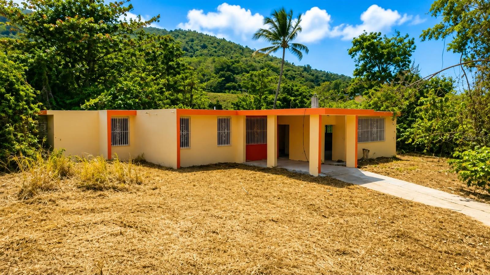 Bo. Daguao Lote B Property Photo 16