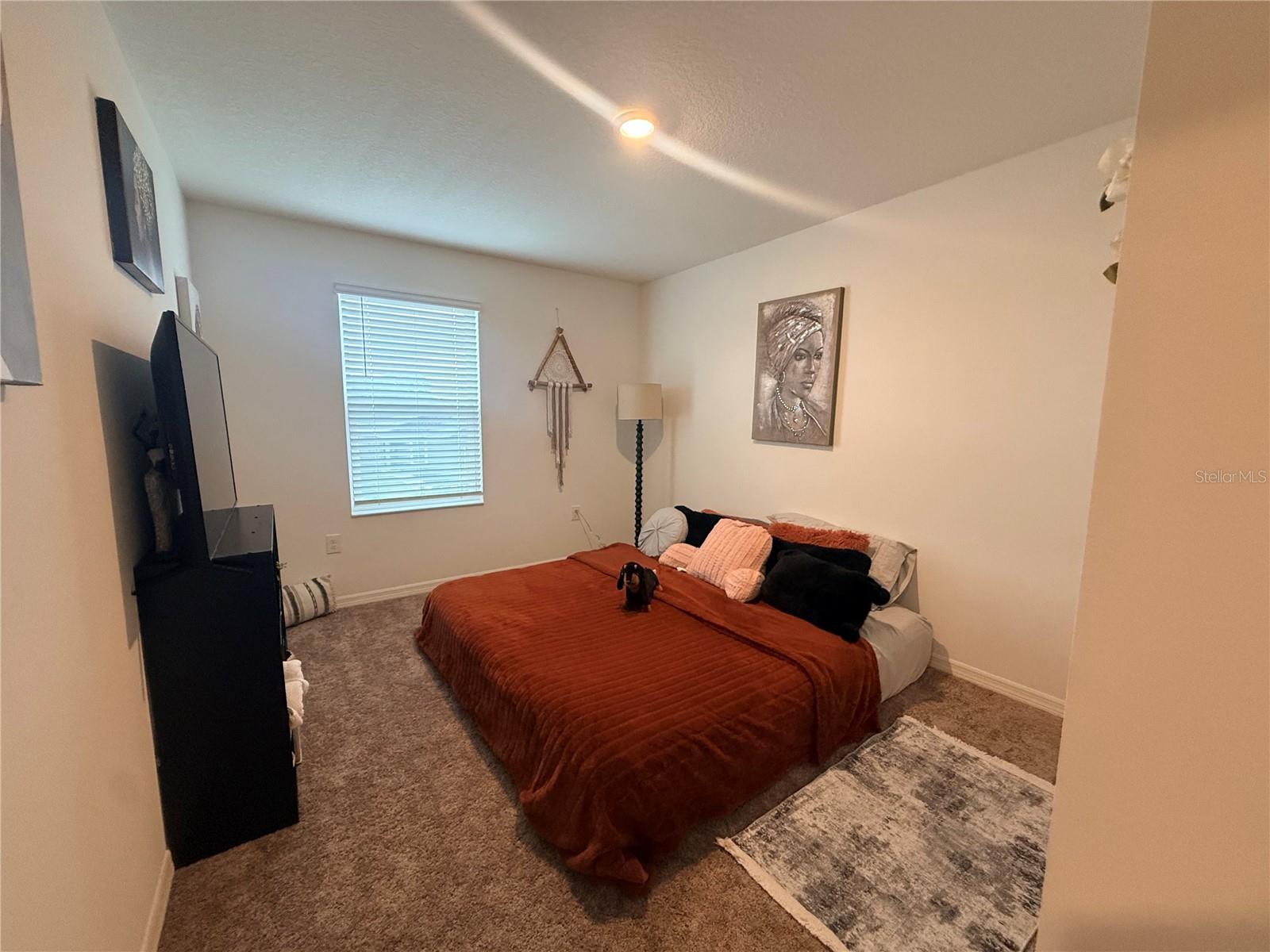 830 Slash Pine Dr Property Photo 19