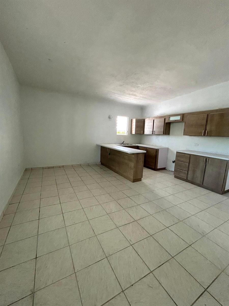 Manuel Fernandez Juncos #151 Property Photo 4