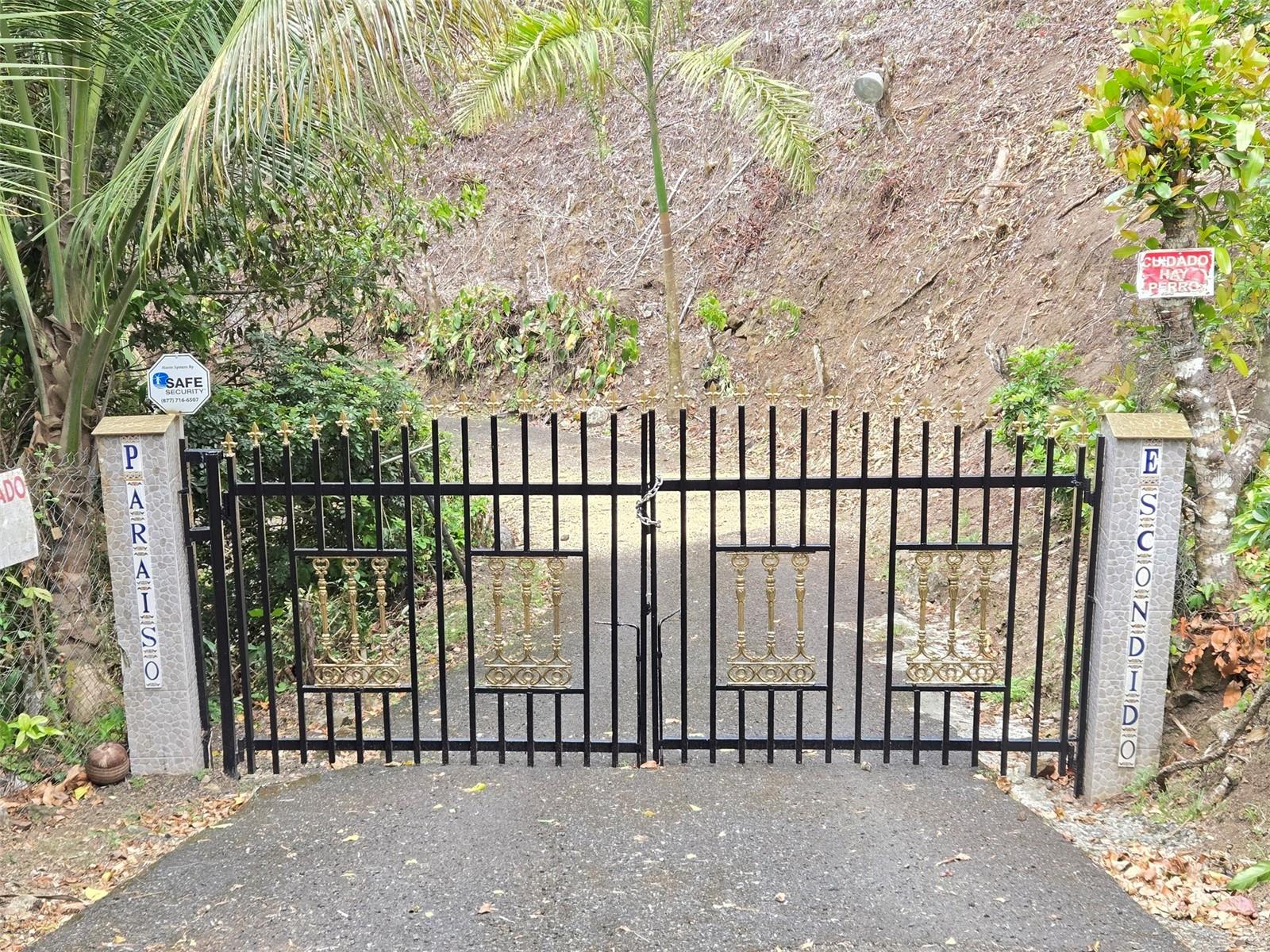 Pr 156 Km. 23.9 Rio Hondo Ward Property Photo 2