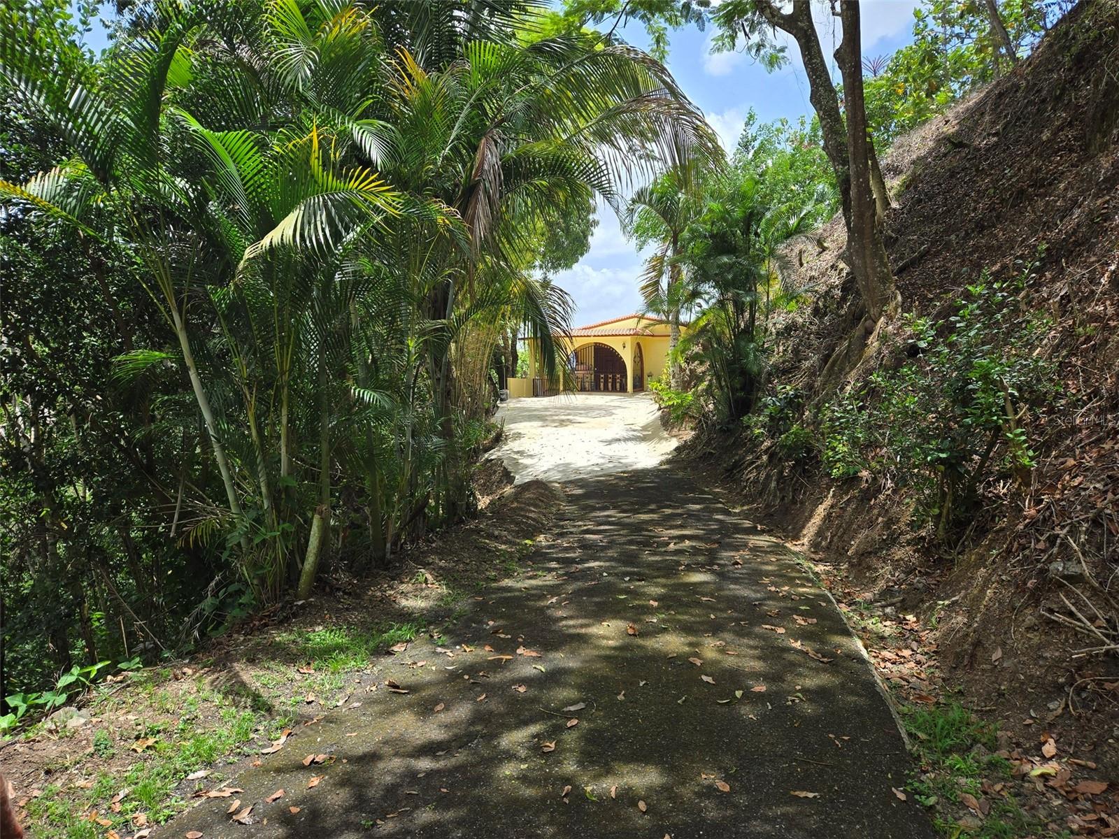 Pr 156 Km. 23.9 Rio Hondo Ward Property Photo 5