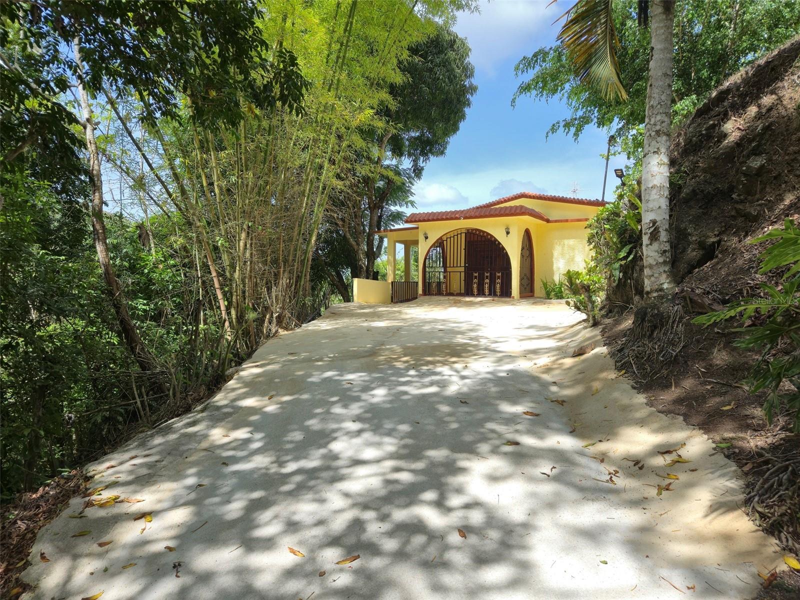 Pr 156 Km. 23.9 Rio Hondo Ward Property Photo 6