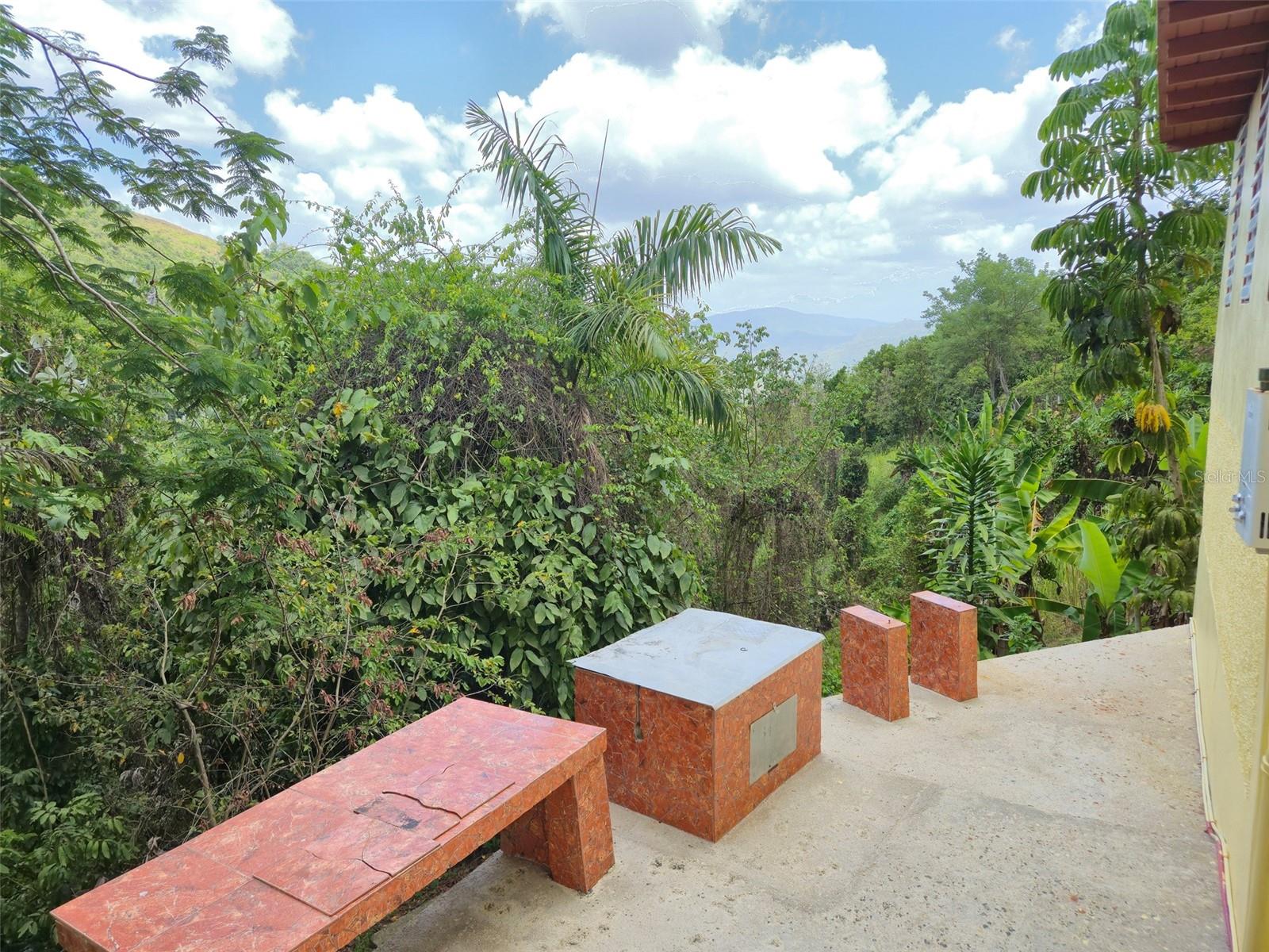 Pr 156 Km. 23.9 Rio Hondo Ward Property Photo 36