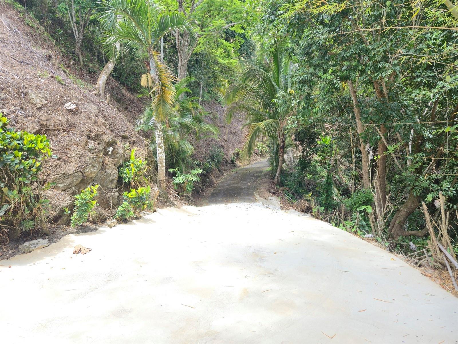 Pr 156 Km. 23.9 Rio Hondo Ward Property Photo 37