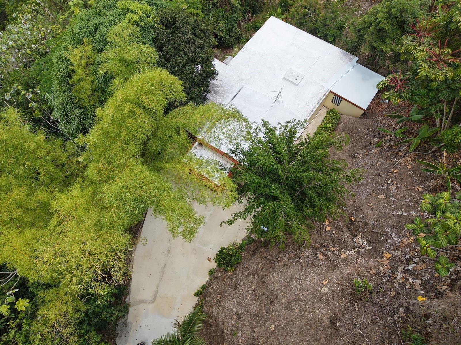 Pr 156 Km. 23.9 Rio Hondo Ward Property Photo 39