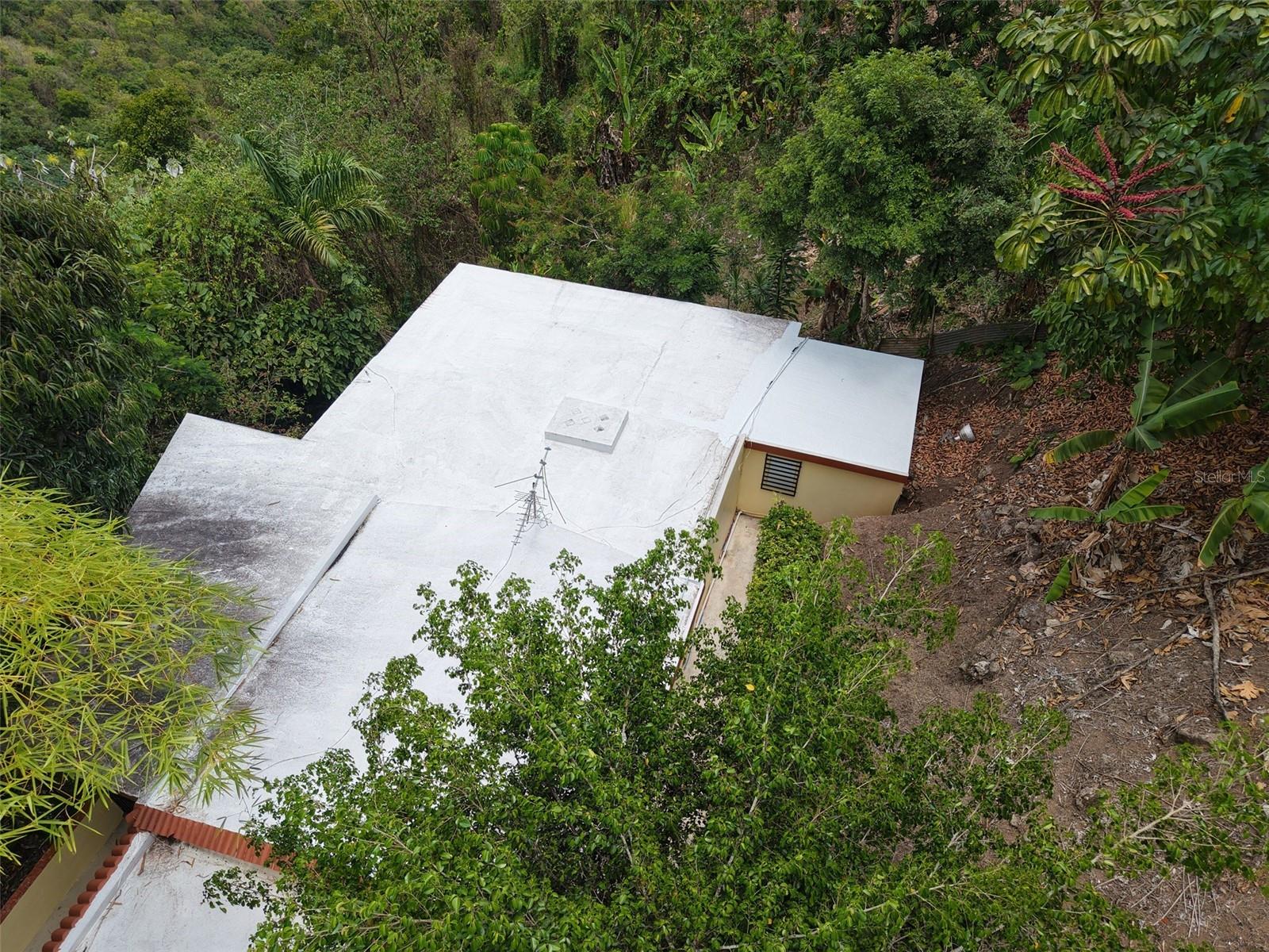 Pr 156 Km. 23.9 Rio Hondo Ward Property Photo 40