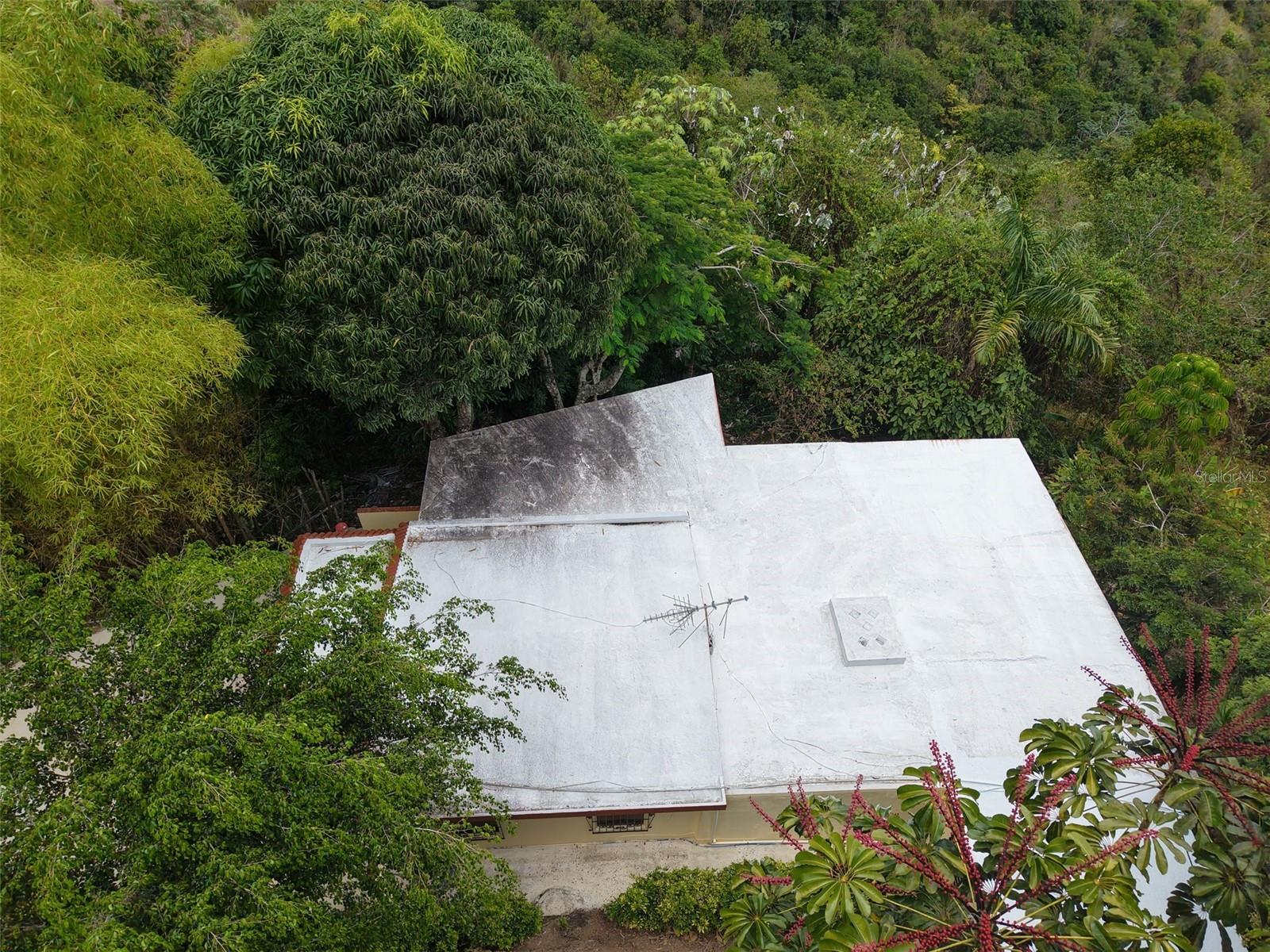 Pr 156 Km. 23.9 Rio Hondo Ward Property Photo 41