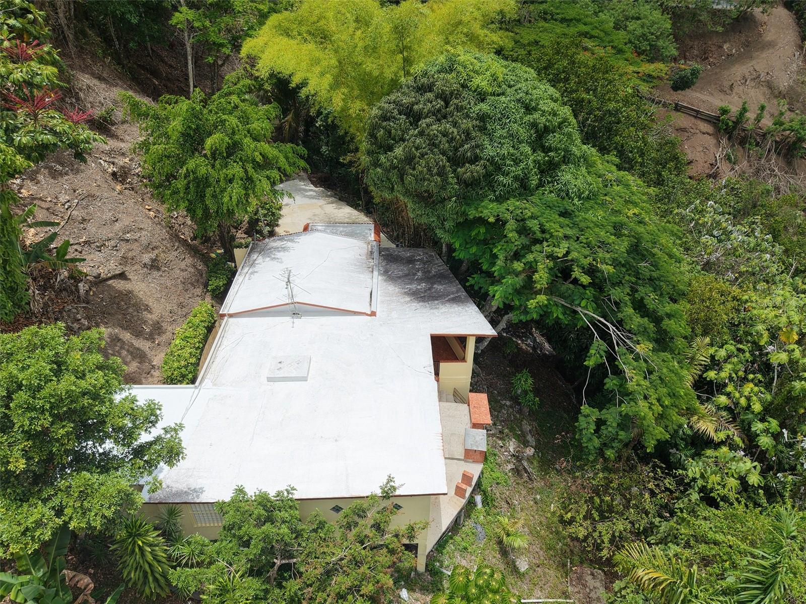 Pr 156 Km. 23.9 Rio Hondo Ward Property Photo 42