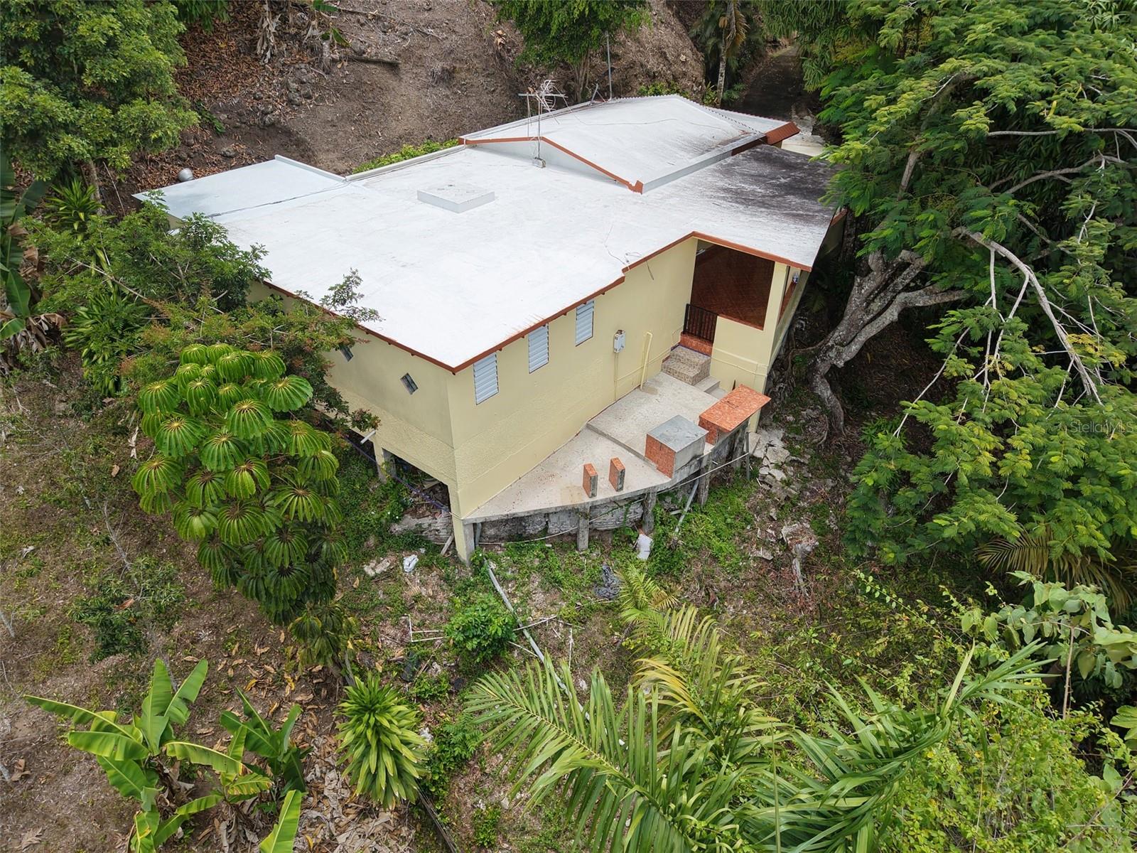 Pr 156 Km. 23.9 Rio Hondo Ward Property Photo 43