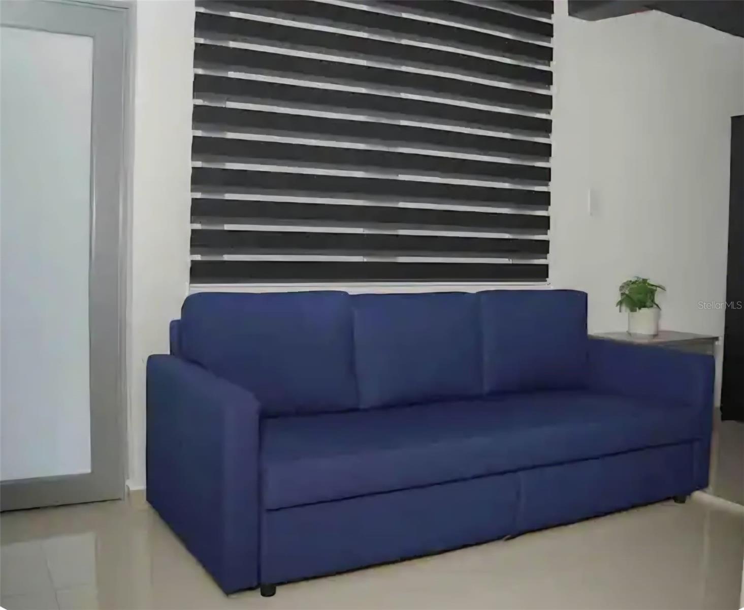 Calle Paseo Alegre 2346 Property Photo 15