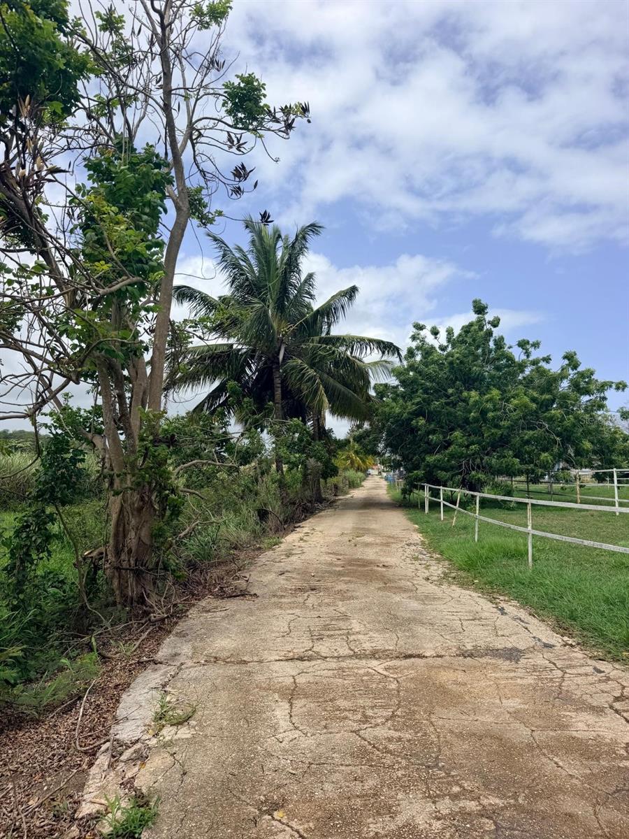 Carr 690 Km 3.2 Bo Sabana Hoyos Property Photo 3