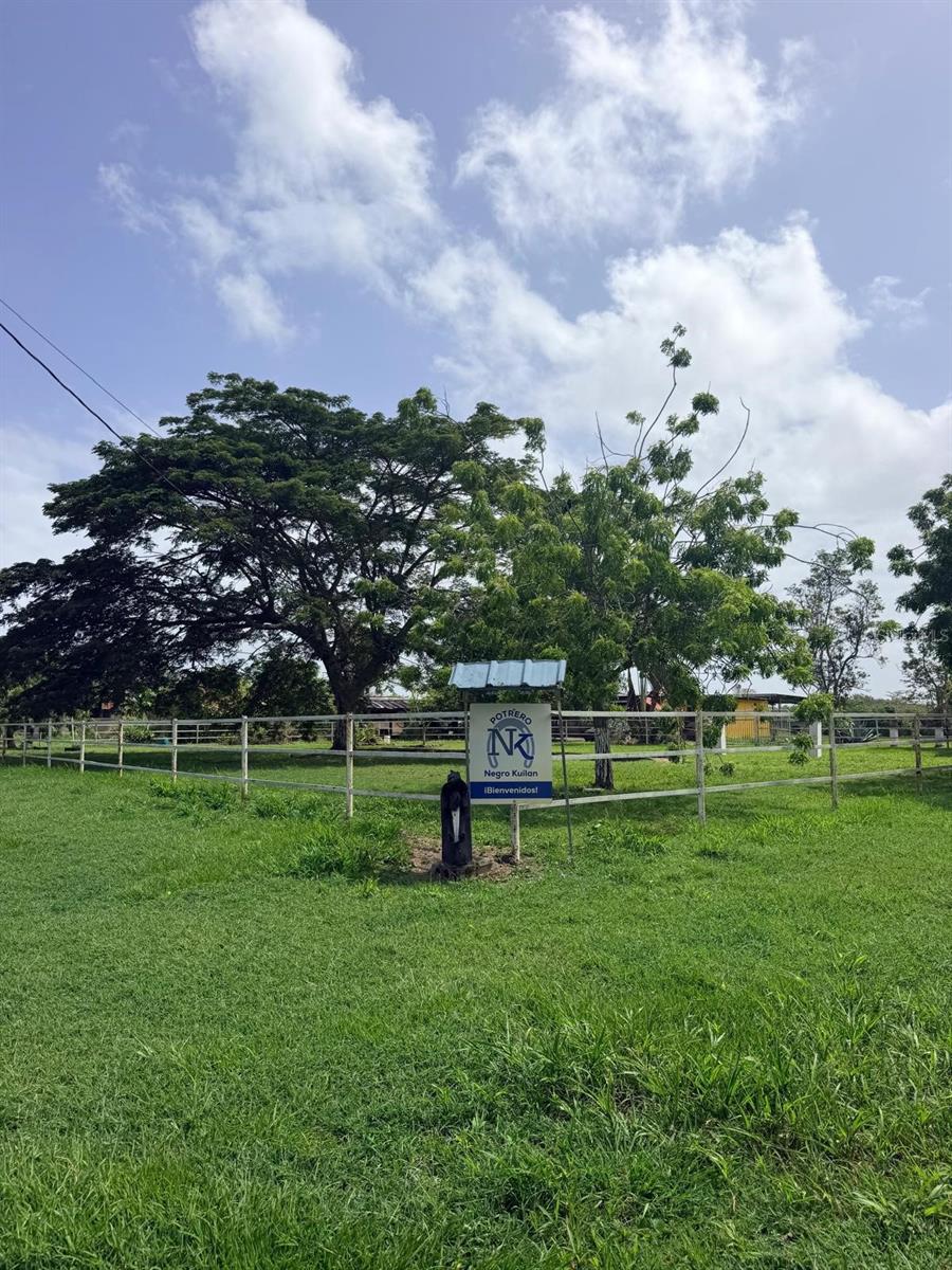 Carr 690 Km 3.2 Bo Sabana Hoyos Property Photo 4