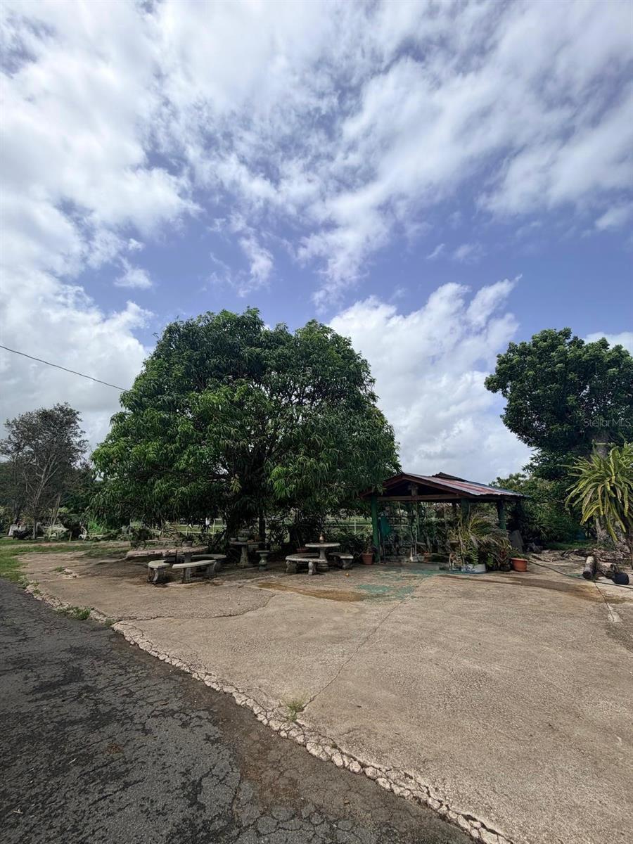 Carr 690 Km 3.2 Bo Sabana Hoyos Property Photo 8