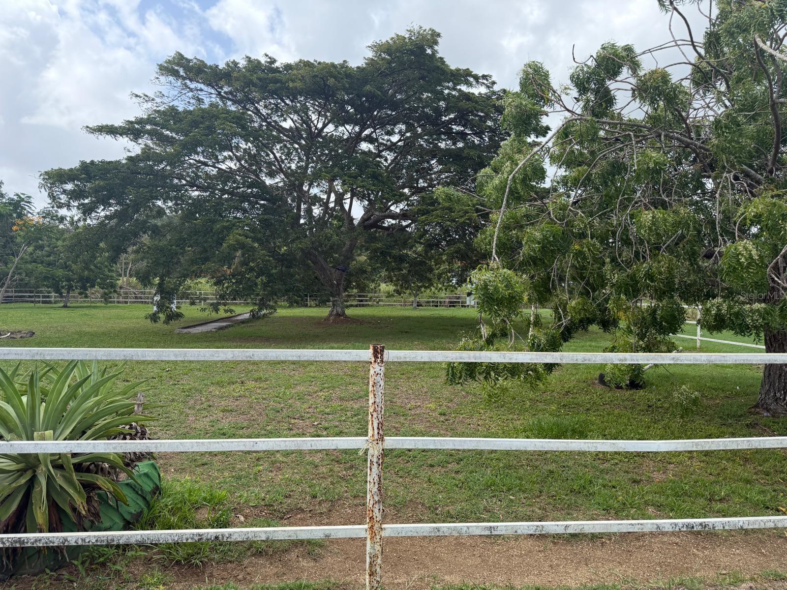 Carr 690 Km 3.2 Bo Sabana Hoyos Property Photo 9