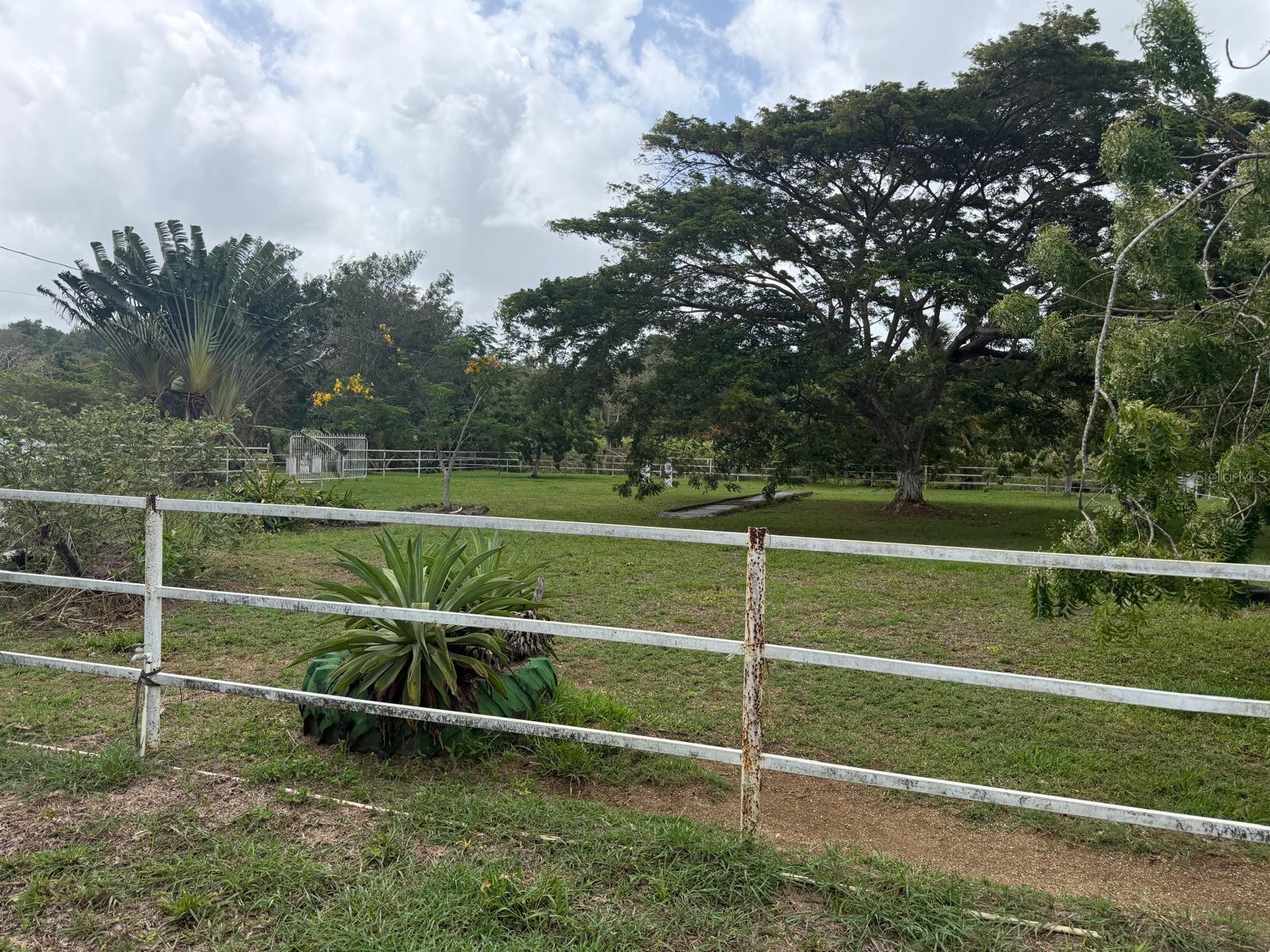 Carr 690 Km 3.2 Bo Sabana Hoyos Property Photo 10